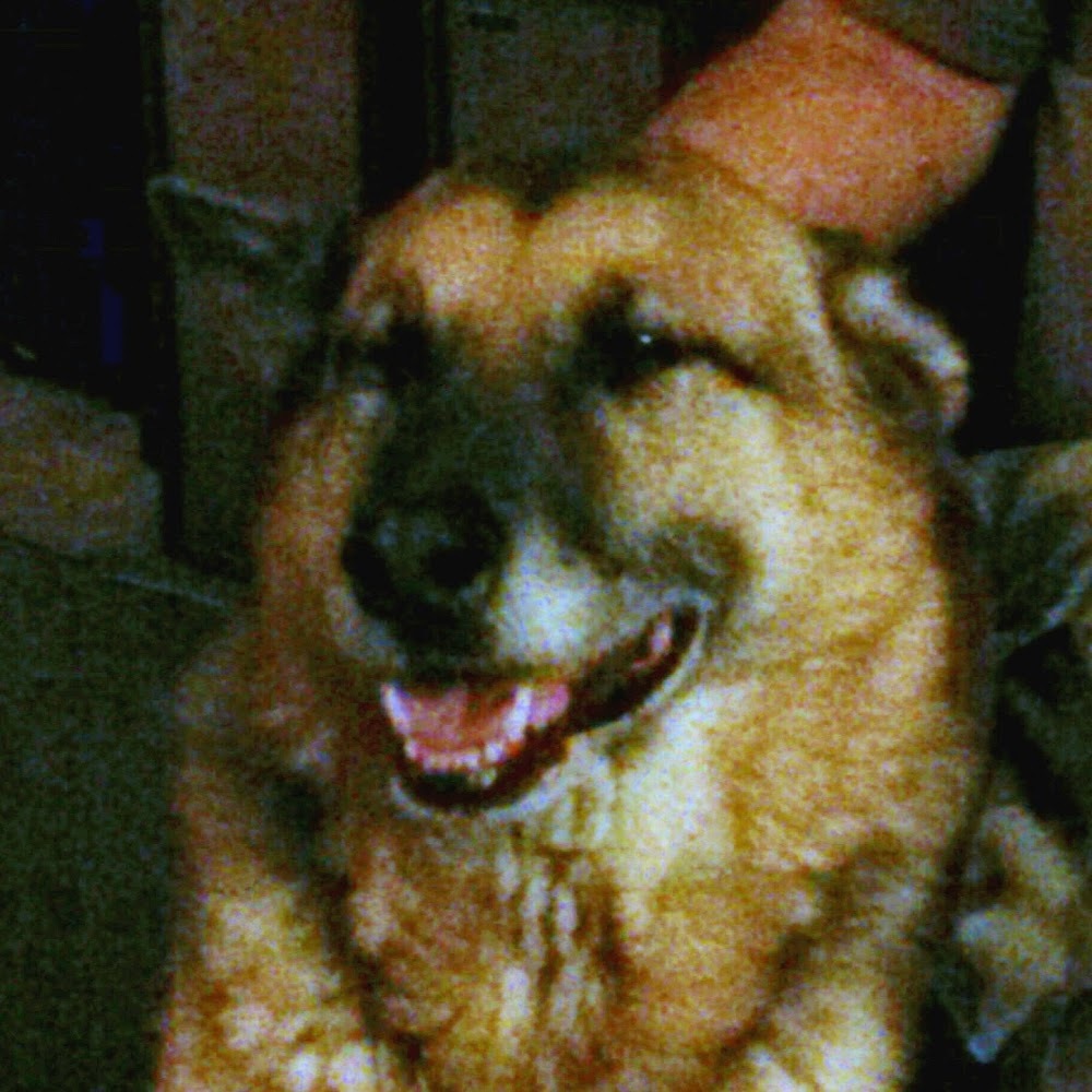 Meet your Posher, Alan